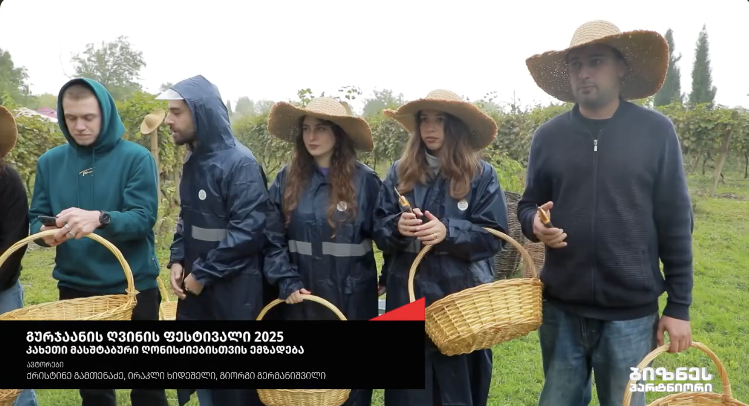 The Gurjaani Wine Festival hosted the harvest.